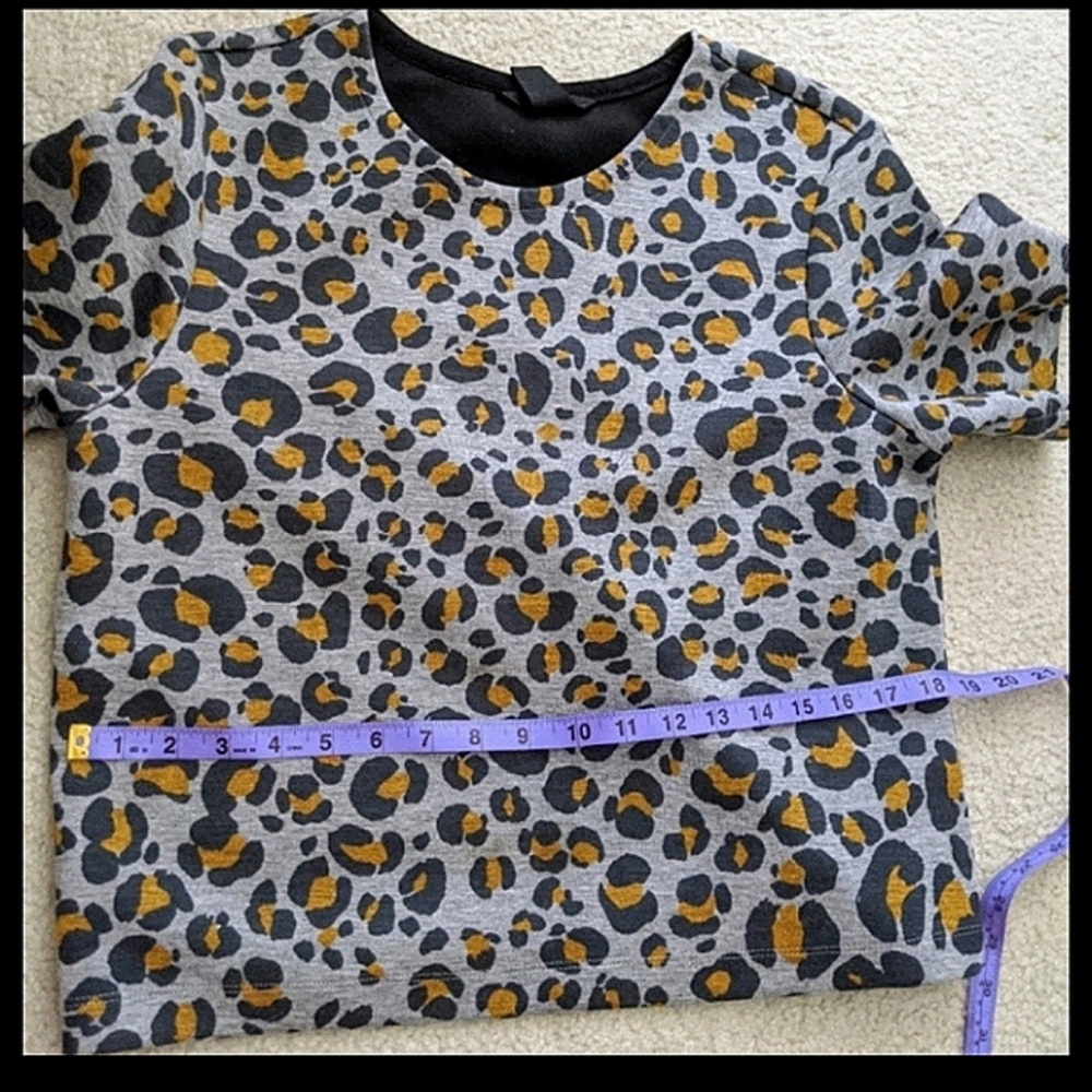 H&M Leopard Print Top